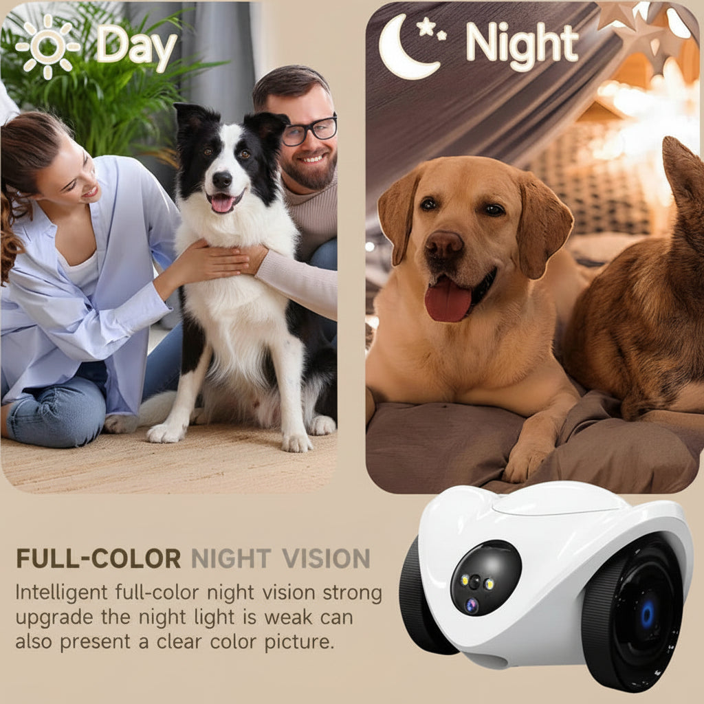 Collage of a dog with people, a night scene with dogs, and a device with text about full-color night vision.