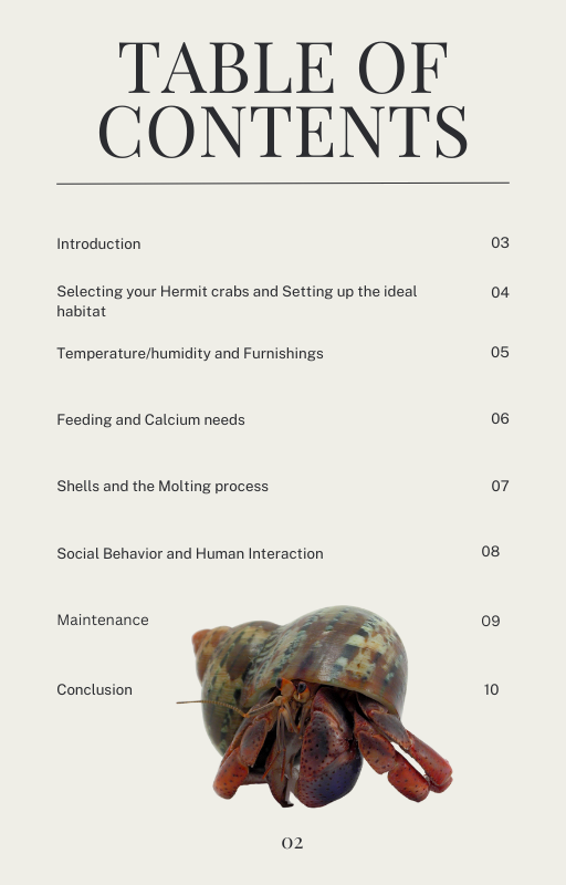 Let's Talk Hermit Crabs: A Guide to Caring for Our Seashore Companions (PDF)
