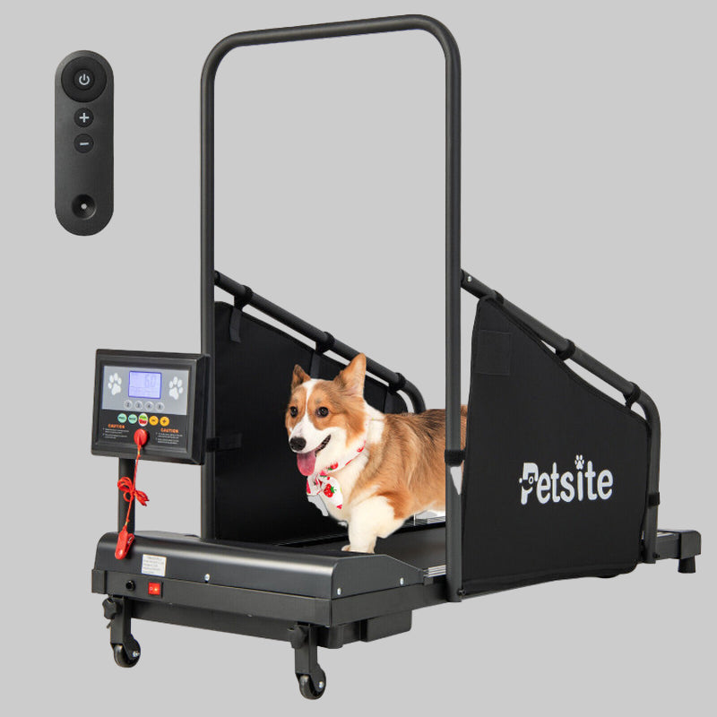 Indoor Pet Exercise Equipment with Remote Control