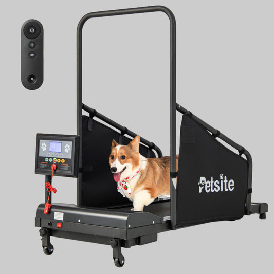 Indoor Pet Exercise Equipment with Remote Control