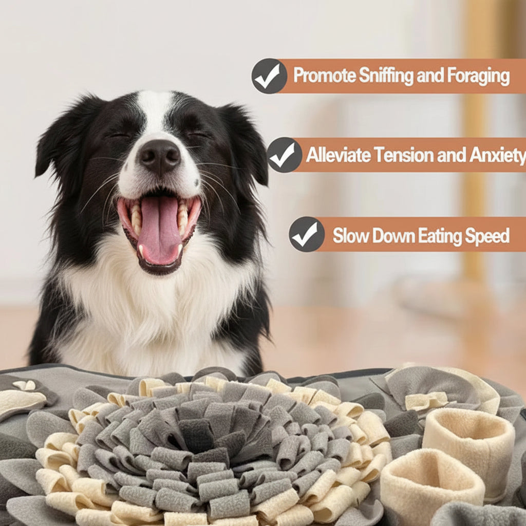 Dog yawning next to a textured mat with promotional text about its benefits.