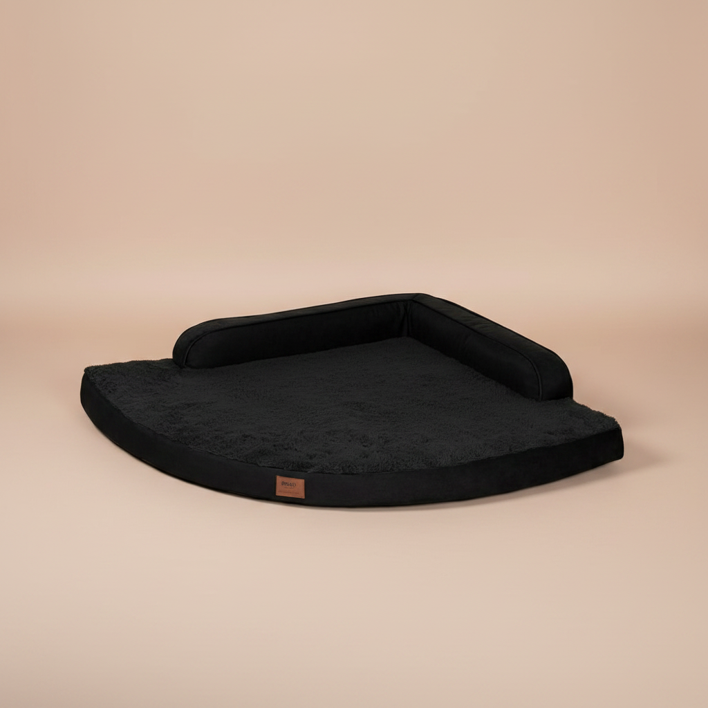 Dog lying on a black pet bed in a room with wooden flooring and white walls.