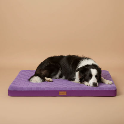 Orthopedic Dog Bed Waterproof Egg Crate Foam  MustLovePets