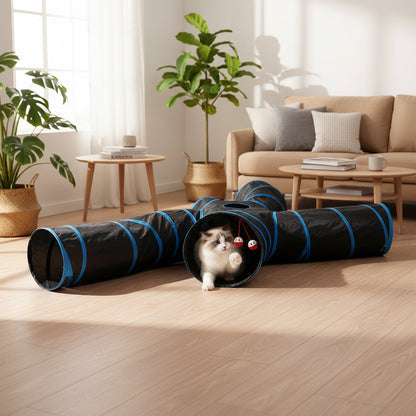 Cat playing with a black and blue tunnel toy with a beige background.
