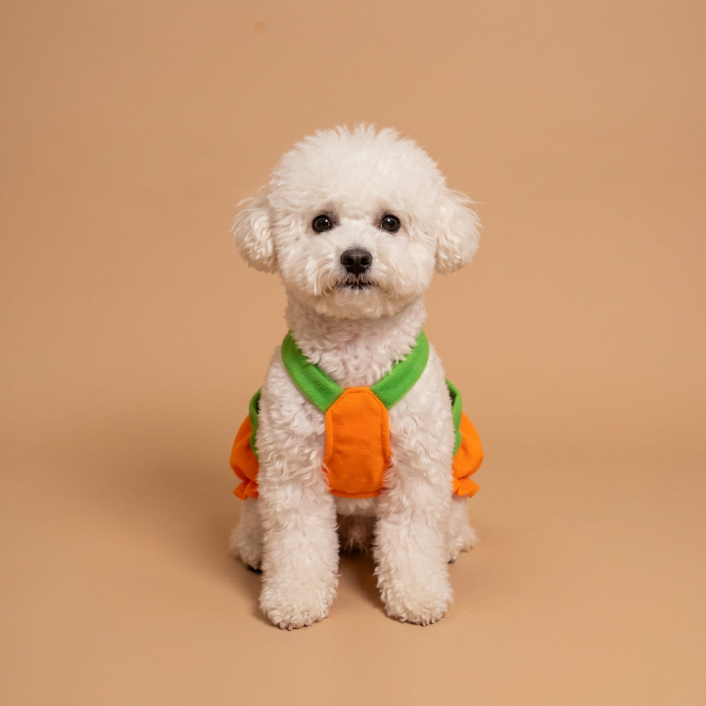 A small white dog wearing an orange and green pumpkin costume sits on a wooden floor surrounded by jack-o'-lanterns, candy, and warm string lights in a Halloween-themed setting.