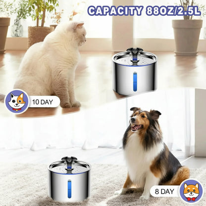 Pet water fountain with a cat and dog sitting next to it, showing water flow indicators.