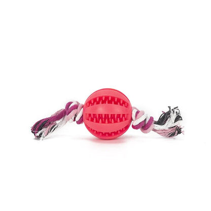 Dog Toy Interactive Bal for Dog Chewing Toys for Pet Tooth Cleaning Dog Food Ball Solid Toy Ball Dog Chewing