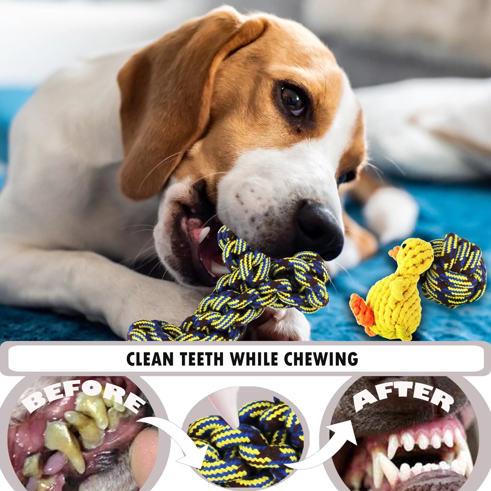 Pictures displaying how chewing on these toys will also clean their teeth
