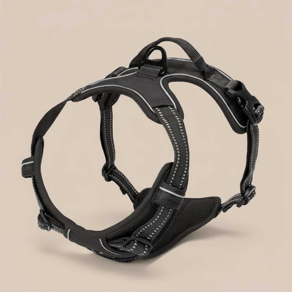 Black dog harness on a beige background