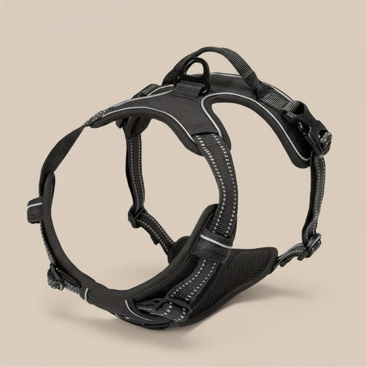 Black dog harness on a beige background