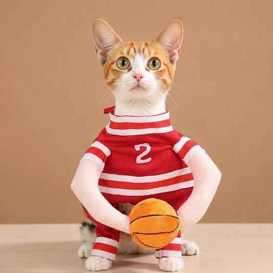 An orange and white cat wearing a red and white striped pet sweater with the number 2, holding a small orange basketball toy, sitting on a woven mat.