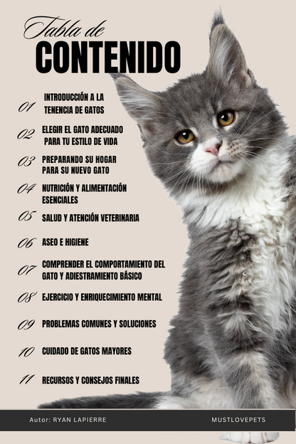 New Cat Parent Starter Collection