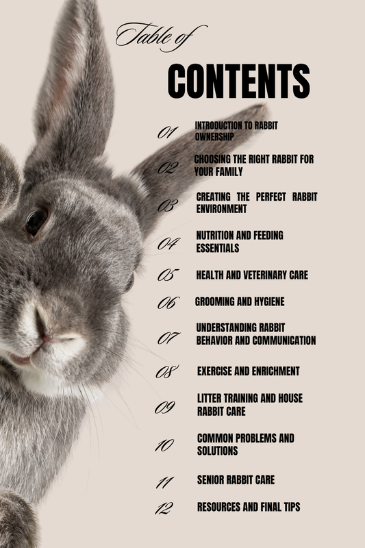 Let's Talk Rabbits: The Complete Rabbit Care Guide (PDF)