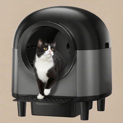 Cat standing inside a modern litter box with smartphone app display.
