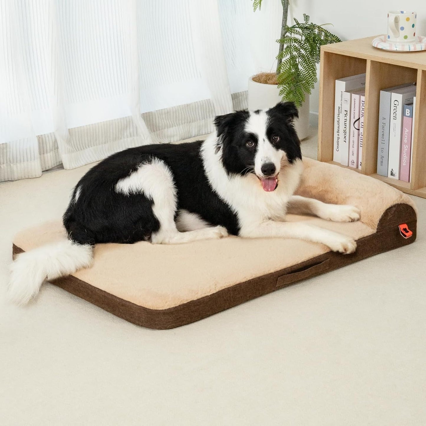 Orthopedic Dog Bed - Medium Dog Couch with Egg Foam Support, Waterproof Removable Cover, Head Support Bolster & Soft Velvet Surface