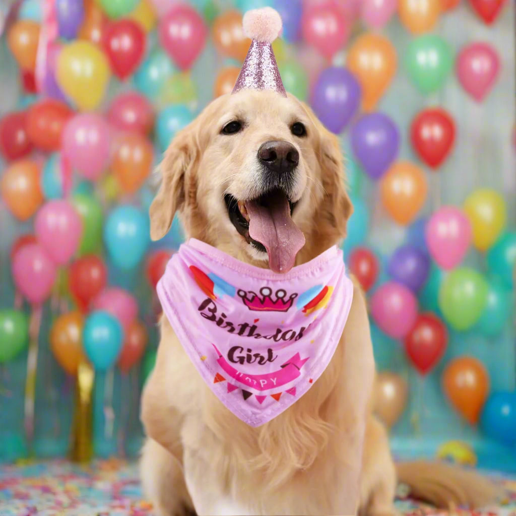 Dog Birthday Party Supplies Bandana Hat Banner Set Boy Girl Cute Bow Tie Scarf Dog Birthday Decorations (Pink，Dog Girl)