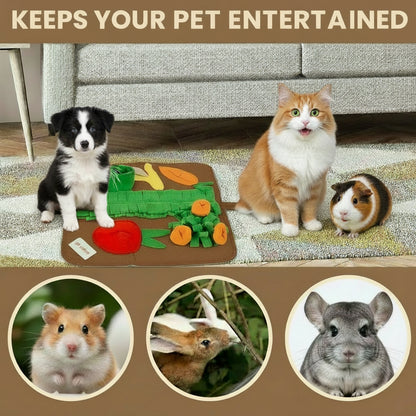 Dog playing with a toy mat shaped like a garden, with text 'Keeps your pet entertained' above.