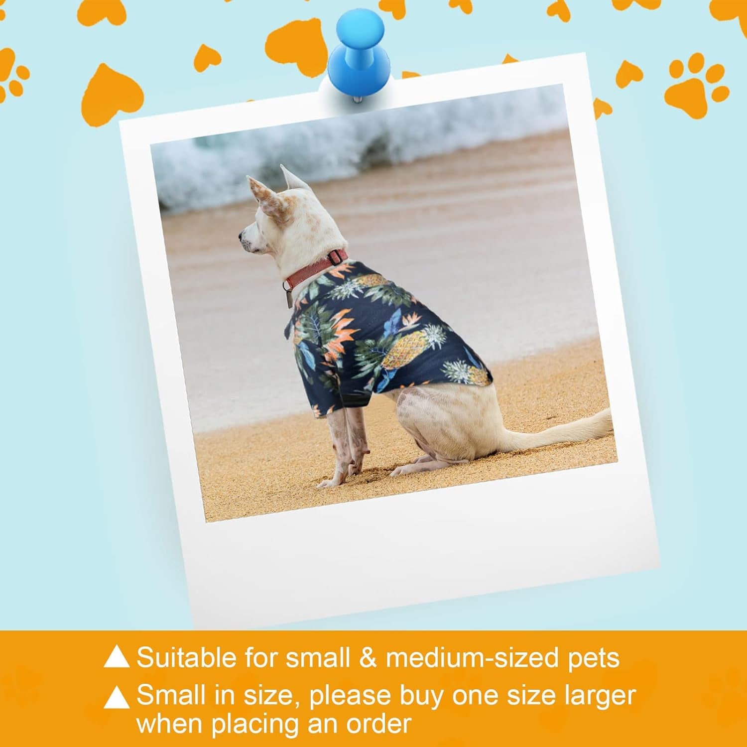 4 Pieces Pet Summer T-Shirts Hawaii Style Floral Pet Dog Shirt Breathable Cool Clothes Beach Seaside Puppy Sweatshirt for Small Puppy(Floral Style,Medium)
