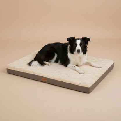 Dog lying on a pet bed on a beige background.