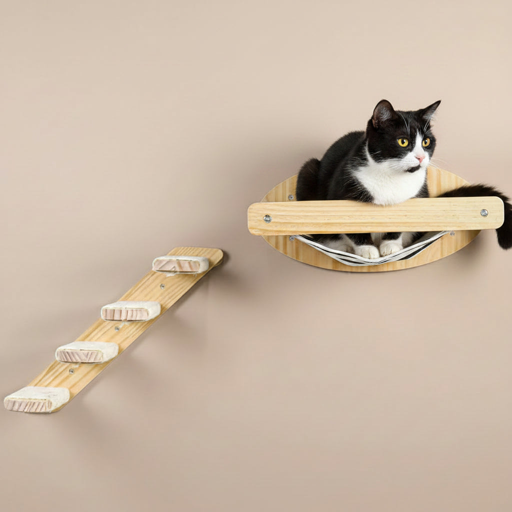 Wall-Mounted Cat Furniture