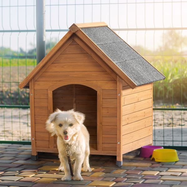 Outdoor Dog House - Waterproof Asphalt Roof Elevated Fir Wood Pet Shelter with Smart Rainwater Diversion
