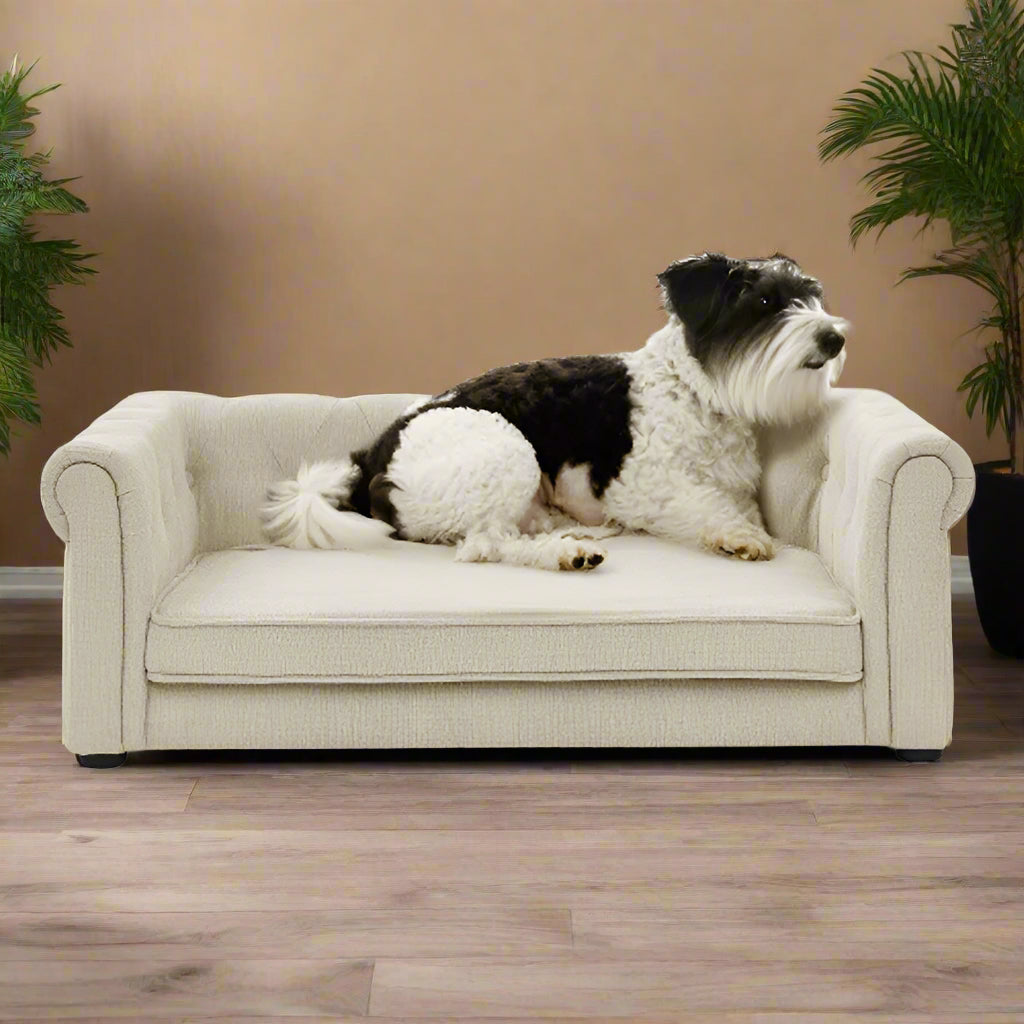 Elegant Rectangular Pet Bed for Medium and Large Dogs