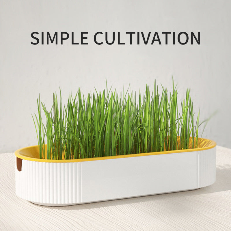 Cat Grass Growing Kit - Hydroponic Cat Grass Planter with Self-Watering System, Double-Layer Soilless Sprouting Tray for Indoor Cats