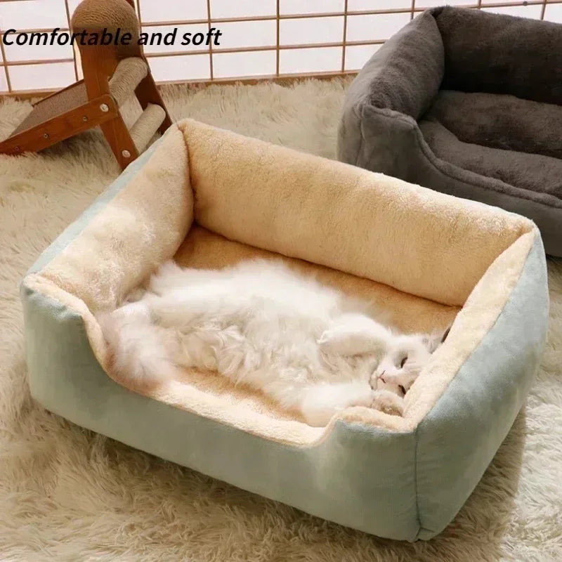 Soft Plush Beds 