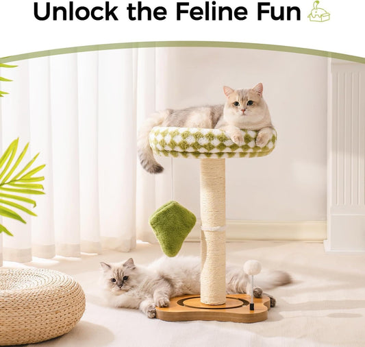 Cat playing on a cat tree with a 'Unlock the Feline Fun' text above.