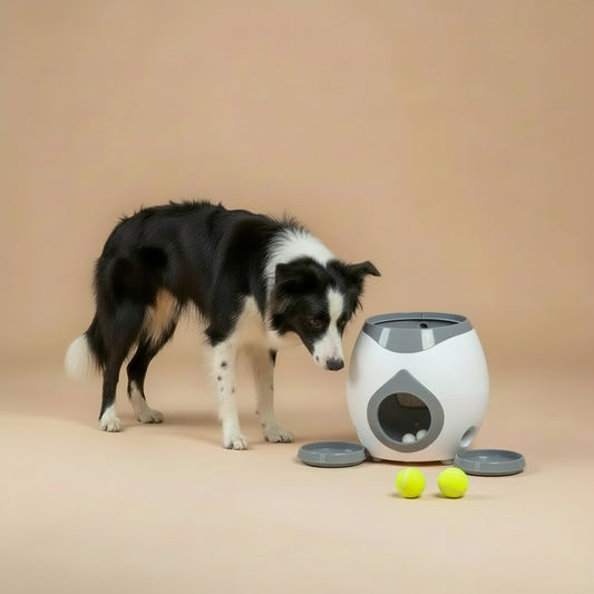 Automatic Ball Launcher for Dog Toy, Interactive Tennis Ball Launcher Machine for Medium Dogs, Interactive Training Smart Feeder