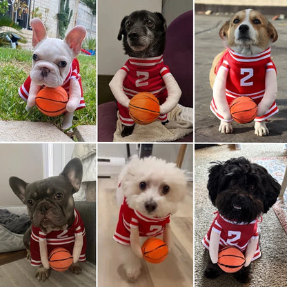 Pet Basketball Player Costume for Dogs & Cats Cute Kitten Sport Clothes with 3D Ball Breathable Adjustable Halloween Cat Outfits