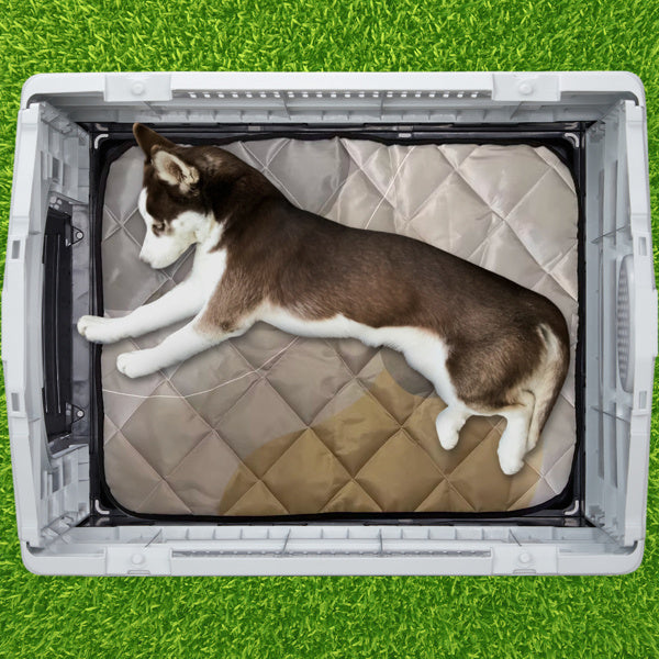 Plastic Dog House - Weather-Resistant Elevated Floor Indoor Outdoor Pet Shelter with Ventilation System