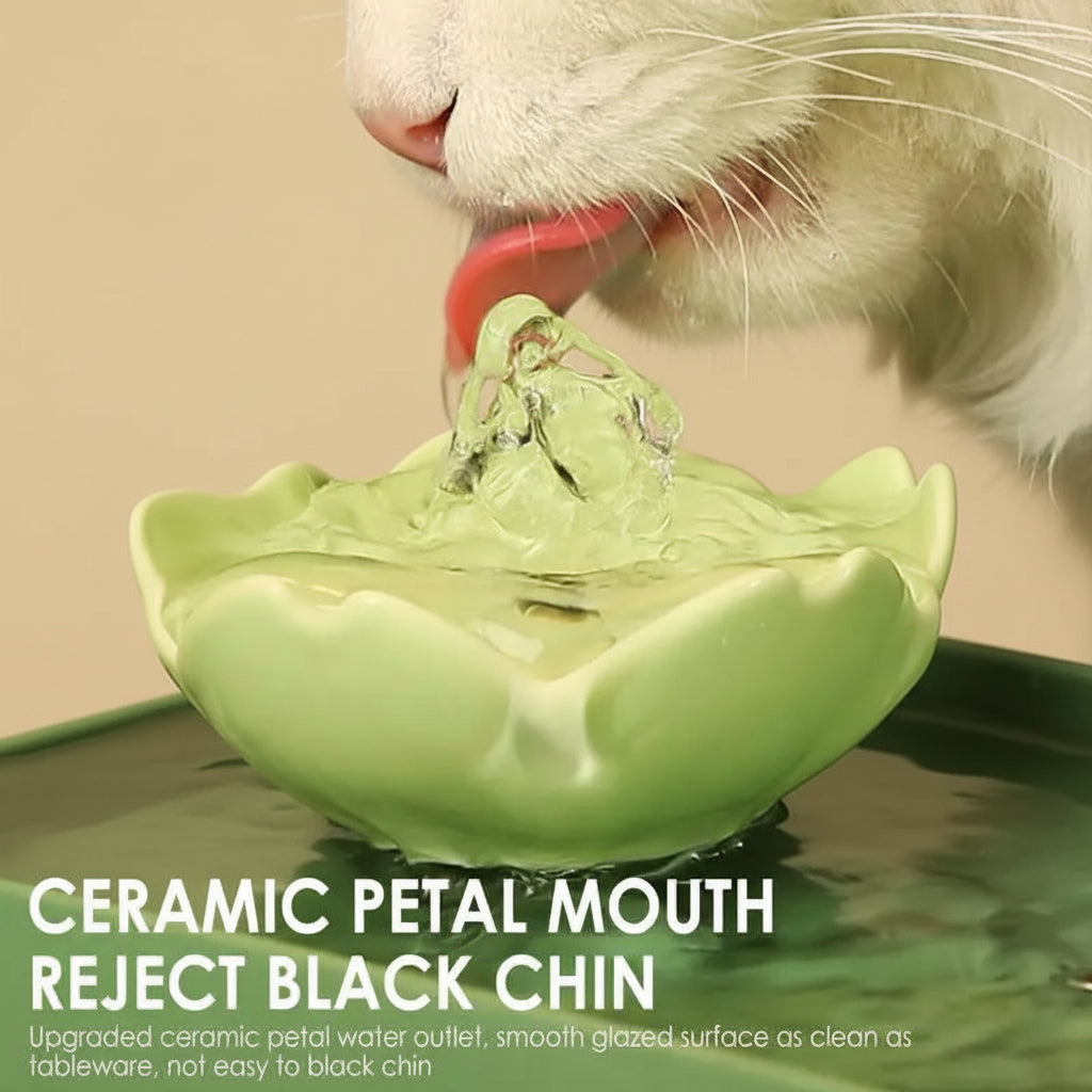 Ceramic petal mouth water outlet with a cat drinking from it, text indicating 'Reject Black Chin'.