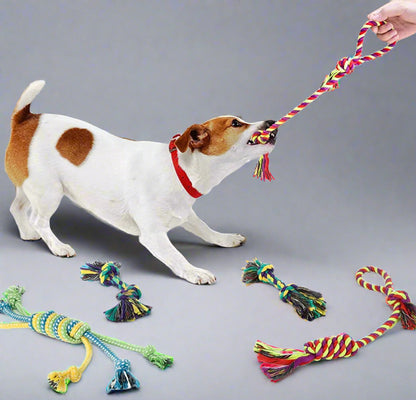 Dog Squeaky Toys for Small Dogs, 12 Pack Puppy Toys for Teething Cute Small Dog Toys Stuffed Plush Dog Toy Bundle Natural Cotton Puppy Rope Toy Dog Chew Toys for Puppies Pet Toys for Dogs