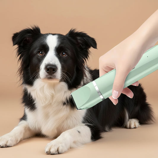 Dog being groomed with a green grooming tool on a beige background