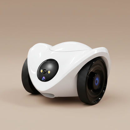Mobile Robot Cam