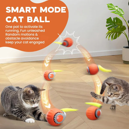 Two cats playing with a smart mode cat ball toy on a wooden floor.