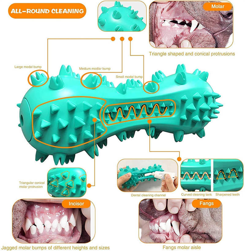 Dog Tooth Brush Chew Toy - Interactive Dental Care Toy with Sound for Small Medium Dogs