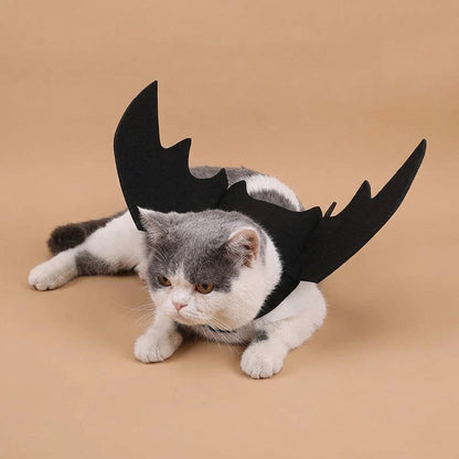 Cat wearing black bat wings on a beige background