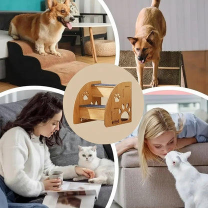 Collage of dogs and cats interacting with a wooden pet shelf in a home setting.