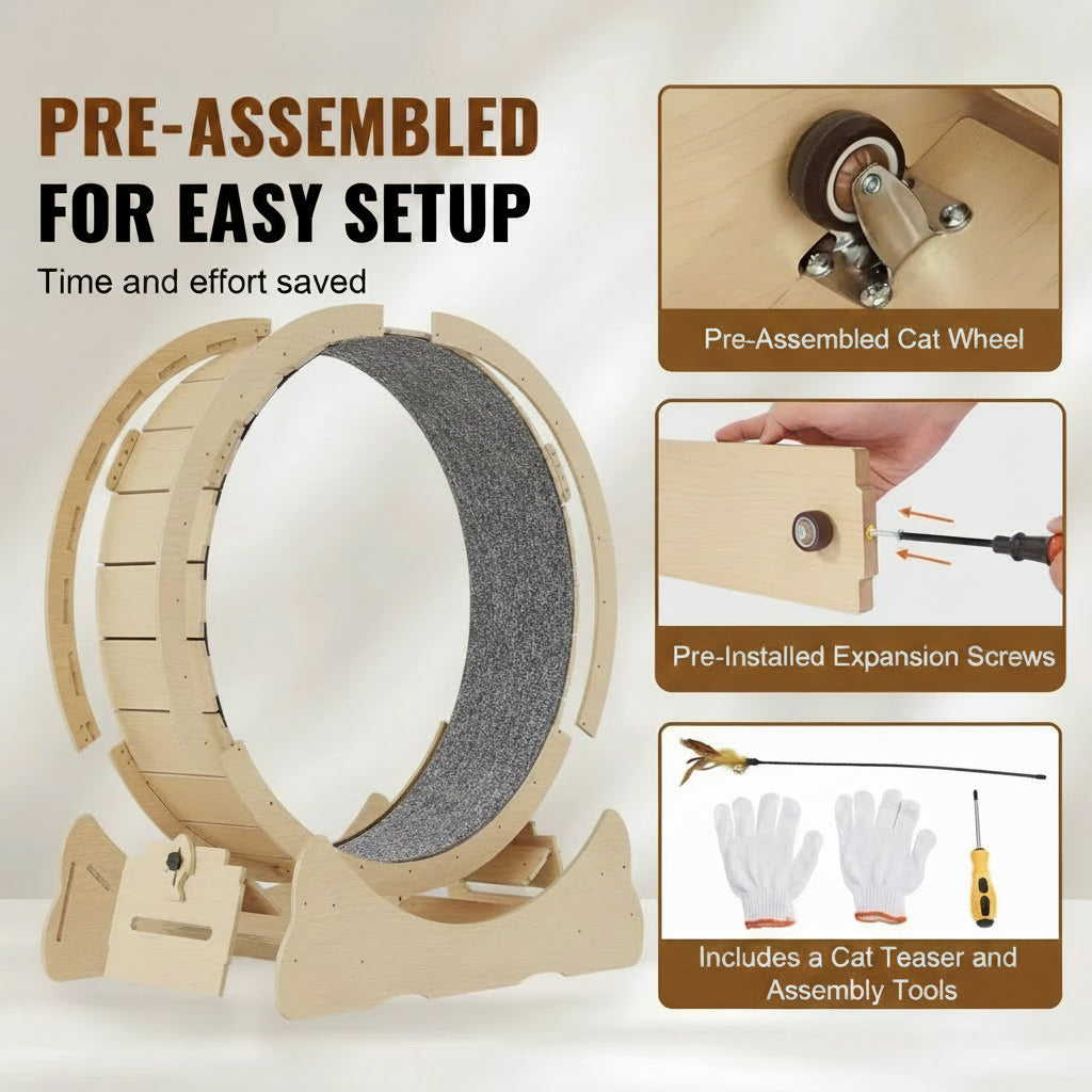 Pre-assembled cat wheel with tools and screws on a beige background