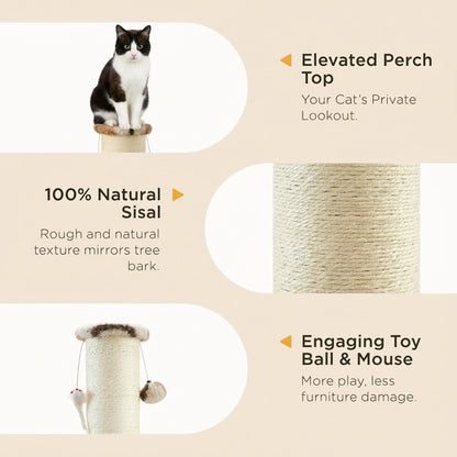 Cat scratching post with text highlighting features on a beige background