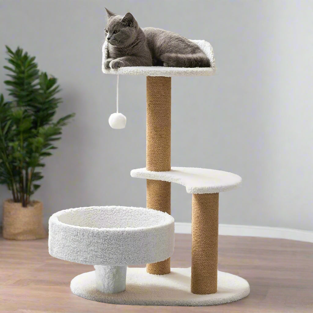 Cat sitting on a multi-level cat tree with white cushioned platforms and brown sisal-covered posts.
