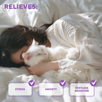 Relaxiv Natural Cat Calming Pheromone Diffuser Improved No Stress Formula anti Anxiety Treatment #1 for Cats and Dogs with a Long Lasting Calming Effect