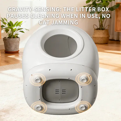 Modern litter box with gravity-sensing feature in a home setting