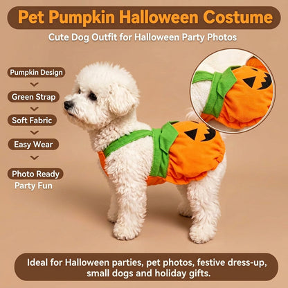A small white dog wearing an orange pumpkin-shaped Halloween costume with a green strap and black jack-o'-lantern face details, standing in a festive Halloween-themed setting with pumpkins and holiday decorations. The image includes marketing text and a circular inset showing the costume close-up.