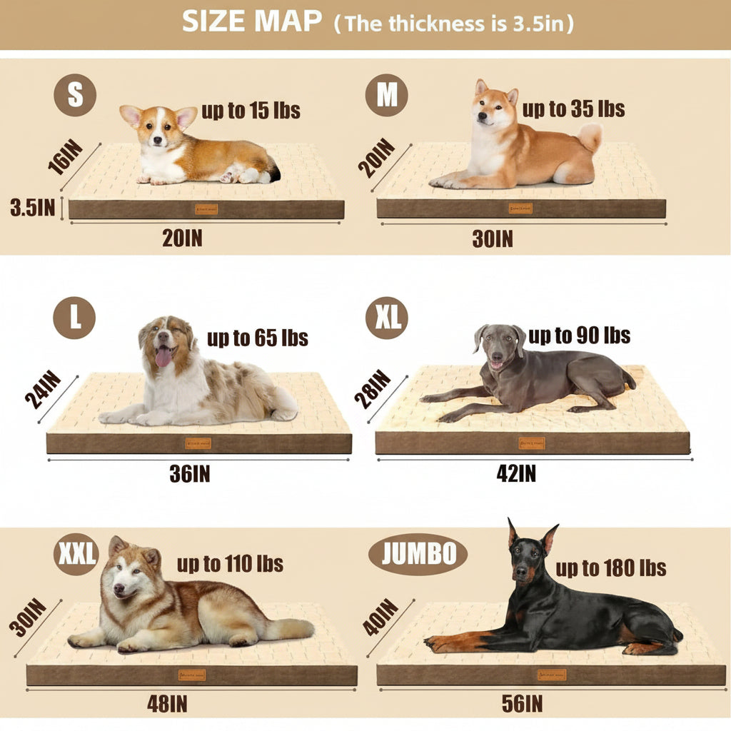 Size chart for dog beds with dogs of different sizes on each size label