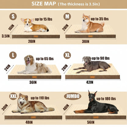 Size chart for dog beds with dogs of different sizes on each size label