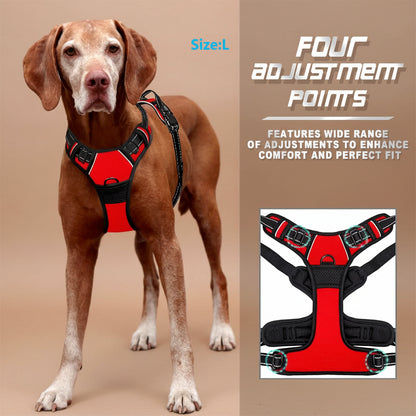 No Pull Dog Harness