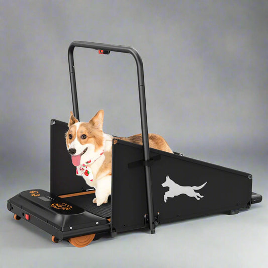Dog using a treadmill with a visible brand logo on a white background